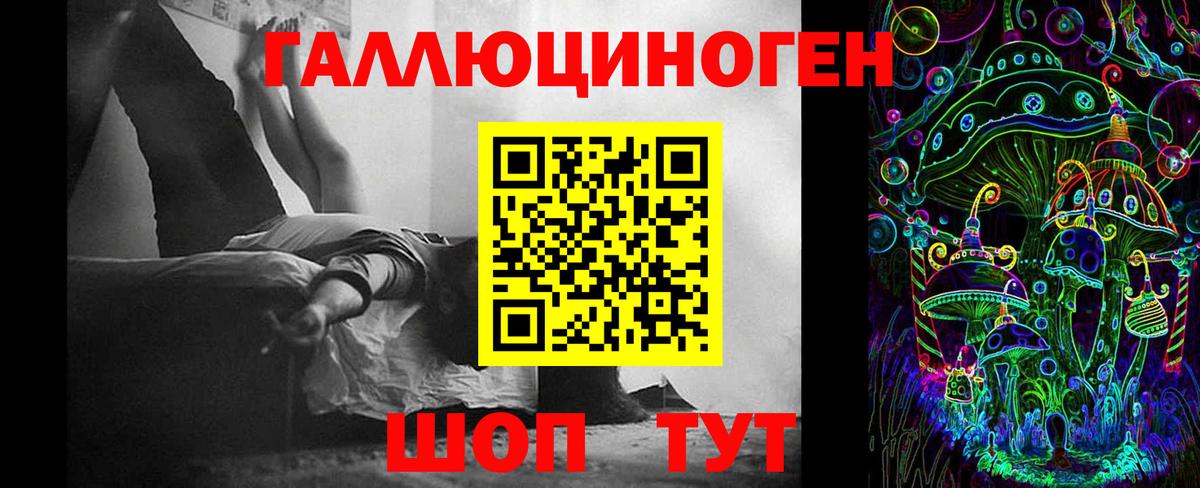 Галлюциногенные грибы прущие грибы Дятьково