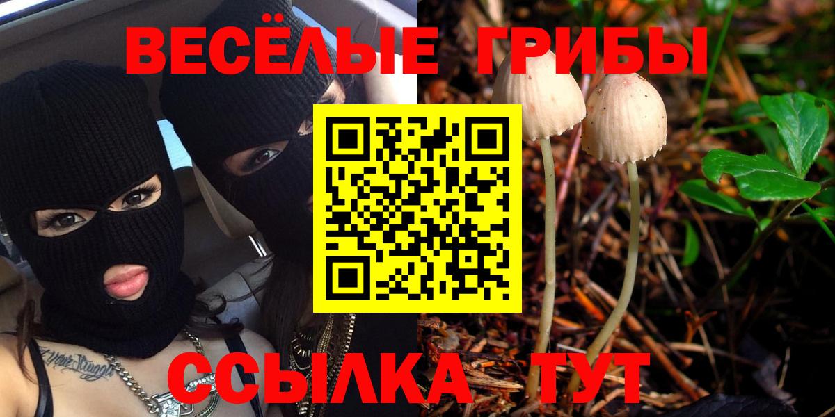 купить закладку  Псилоцибиновые грибы ЛСД  Галлюциногенные грибы мицелий  Вход с VPN  Дятьково 
